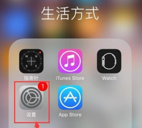 Apple验证失败