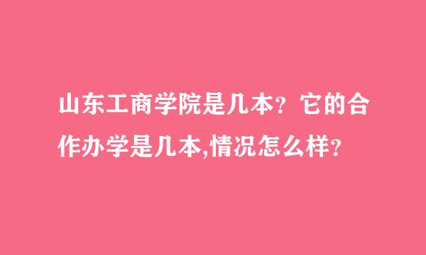 山东工商学院是几本？它的合作办学是几本,情况怎么样？