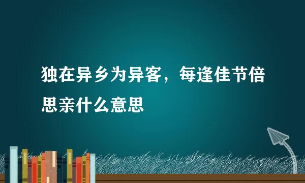 独在异乡为异客，每逢佳节倍思亲什么意思