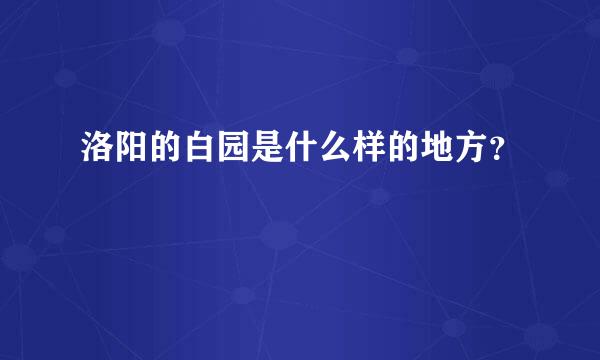 洛阳的白园是什么样的地方？