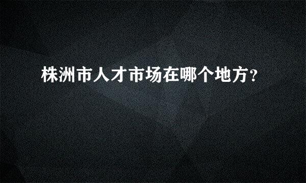 株洲市人才市场在哪个地方？