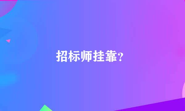 招标师挂靠？