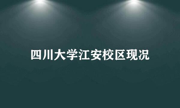 四川大学江安校区现况