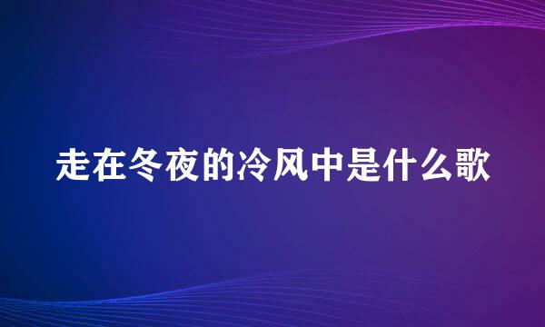 走在冬夜的冷风中是什么歌