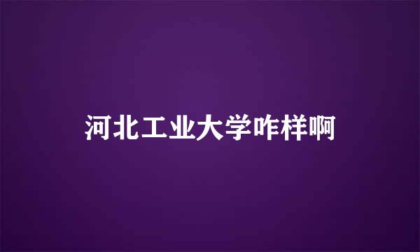 河北工业大学咋样啊