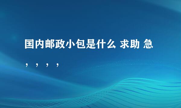 国内邮政小包是什么 求助 急，，，，