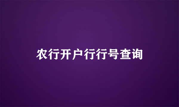 农行开户行行号查询