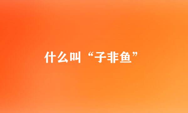 什么叫“子非鱼”