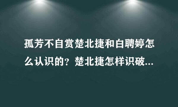 孤芳不自赏楚北捷和白聘婷怎么认识的？楚北捷怎样识破白聘婷身份