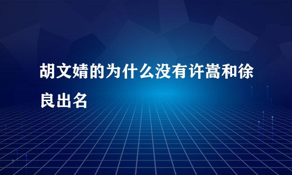 胡文婧的为什么没有许嵩和徐良出名