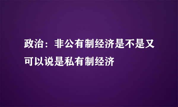 政治：非公有制经济是不是又可以说是私有制经济