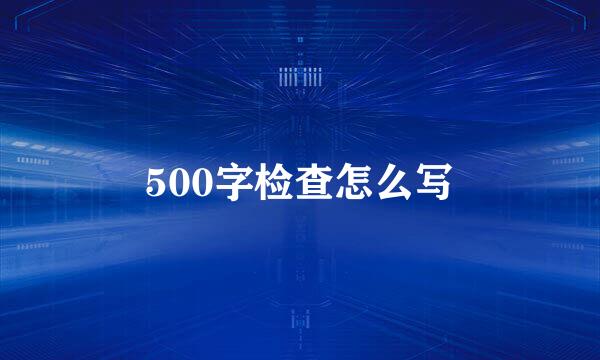 500字检查怎么写