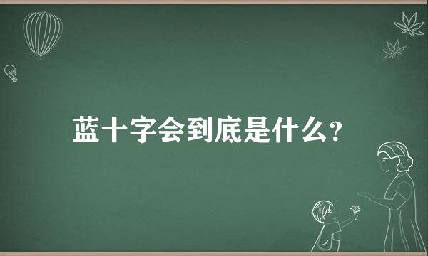 蓝十字会到底是什么？