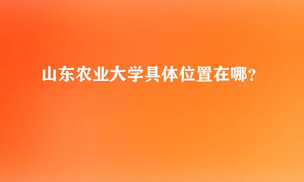 山东农业大学具体位置在哪？