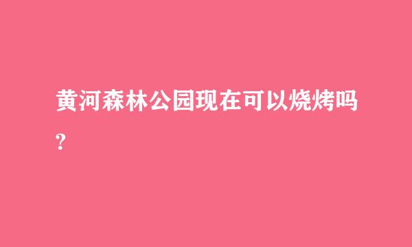 黄河森林公园现在可以烧烤吗?