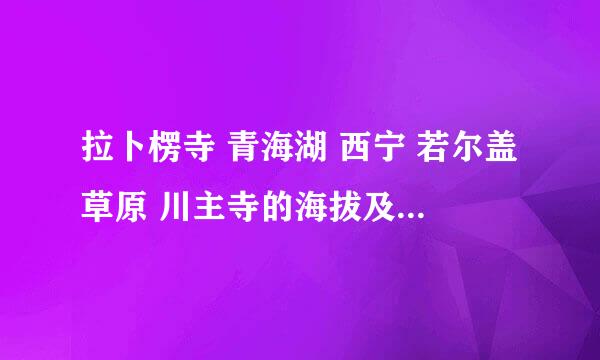 拉卜楞寺 青海湖 西宁 若尔盖草原 川主寺的海拔及如何预防高反