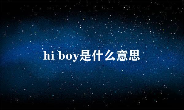 hi boy是什么意思