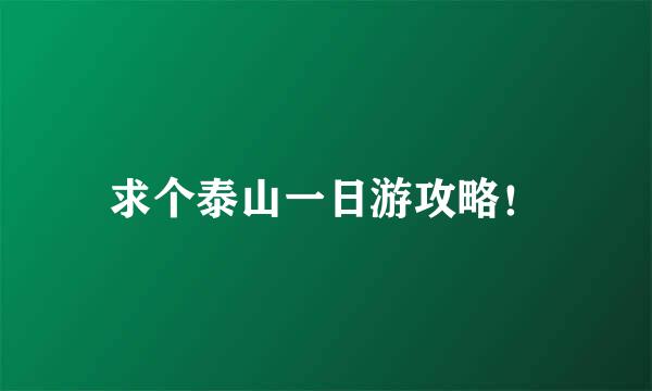 求个泰山一日游攻略！