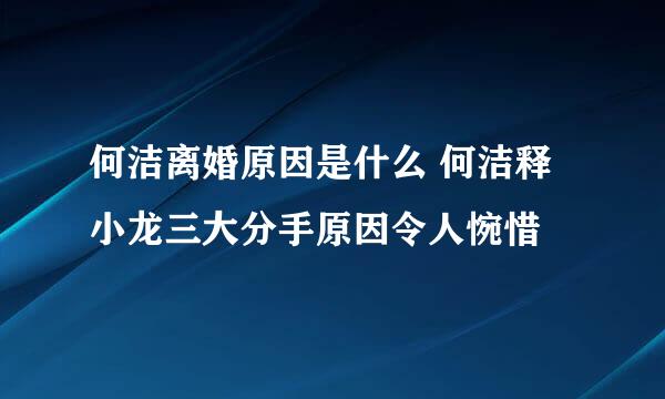 何洁离婚原因是什么 何洁释小龙三大分手原因令人惋惜