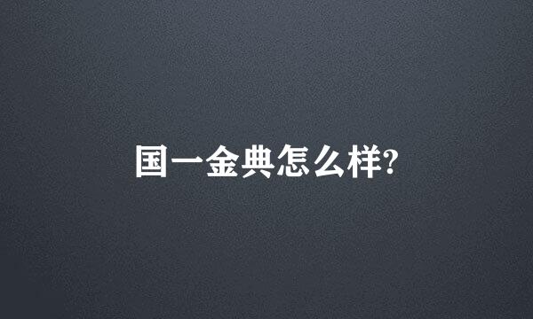 国一金典怎么样?