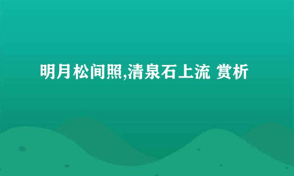 明月松间照,清泉石上流 赏析