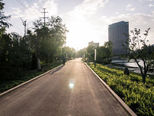 柏油公路：阳光大道