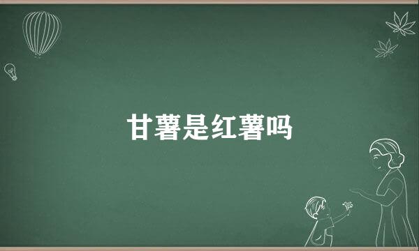 甘薯是红薯吗