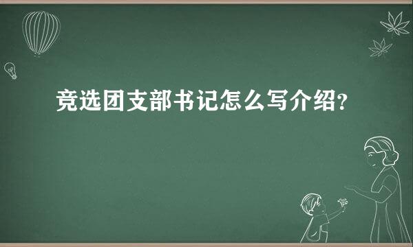 竞选团支部书记怎么写介绍？