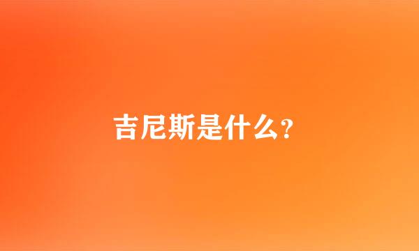 吉尼斯是什么？