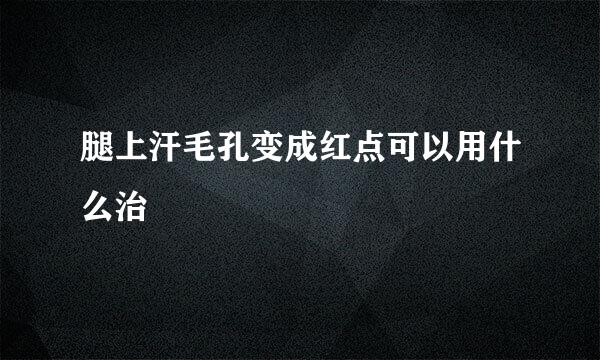 腿上汗毛孔变成红点可以用什么治