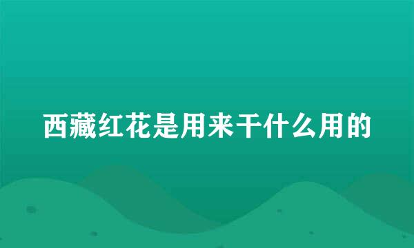 西藏红花是用来干什么用的