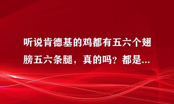 听说肯德基的鸡都有五六个翅膀五六条腿，真的吗？都是激素打的吗？