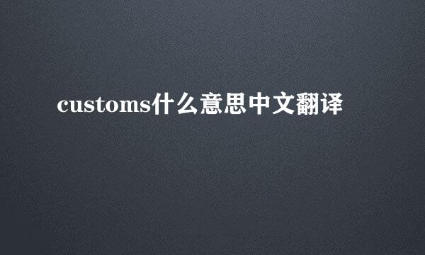 customs什么意思中文翻译