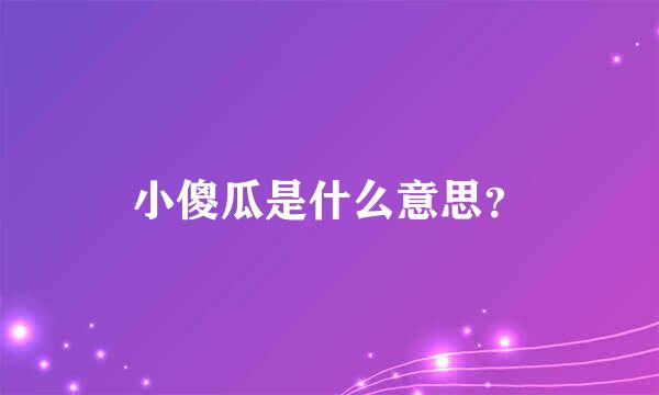 小傻瓜是什么意思？