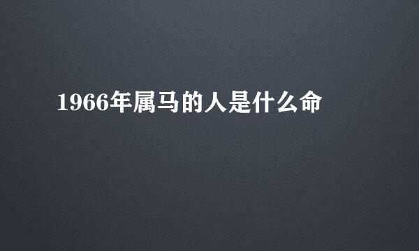 1966年属马的人是什么命