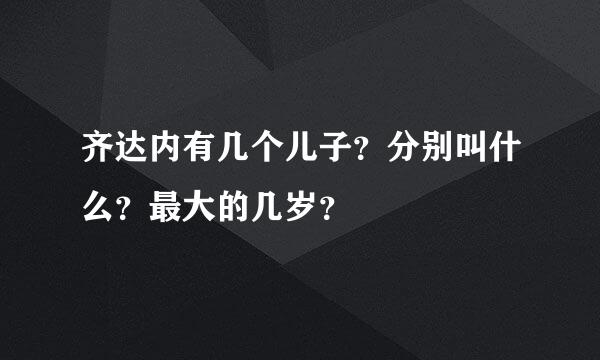 齐达内有几个儿子？分别叫什么？最大的几岁？