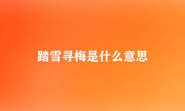 踏雪寻梅是什么意思