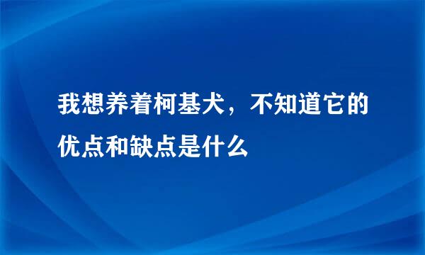 我想养着柯基犬，不知道它的优点和缺点是什么