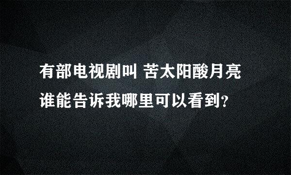 有部电视剧叫 苦太阳酸月亮 谁能告诉我哪里可以看到？