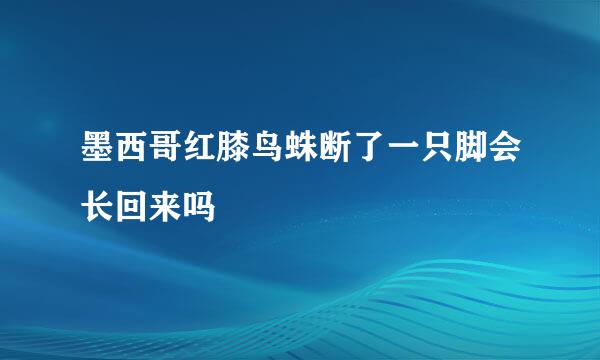 墨西哥红膝鸟蛛断了一只脚会长回来吗