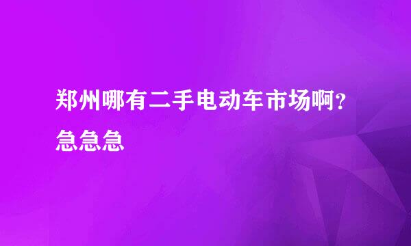 郑州哪有二手电动车市场啊？急急急