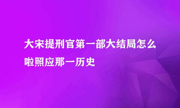 大宋提刑官第一部大结局怎么啦照应那一历史