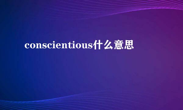 conscientious什么意思