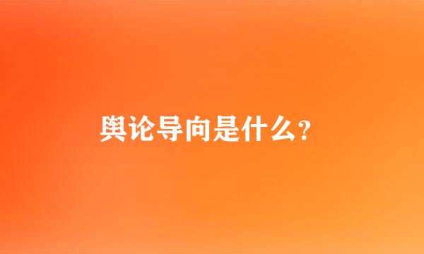 舆论导向是什么？