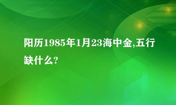 阳历1985年1月23海中金,五行缺什么?