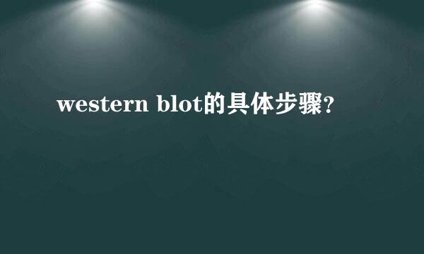 western blot的具体步骤？