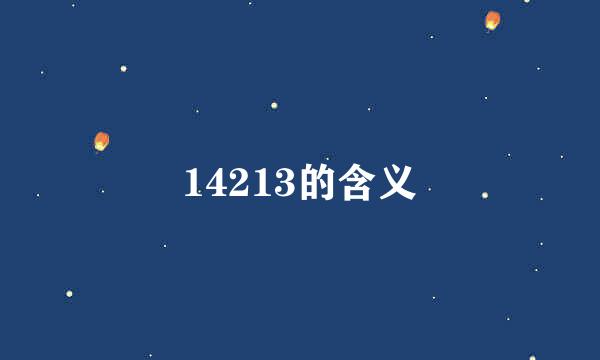 14213的含义