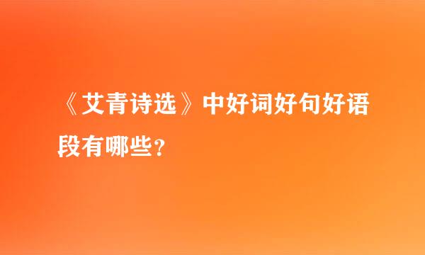 《艾青诗选》中好词好句好语段有哪些？