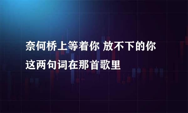 奈何桥上等着你 放不下的你这两句词在那首歌里