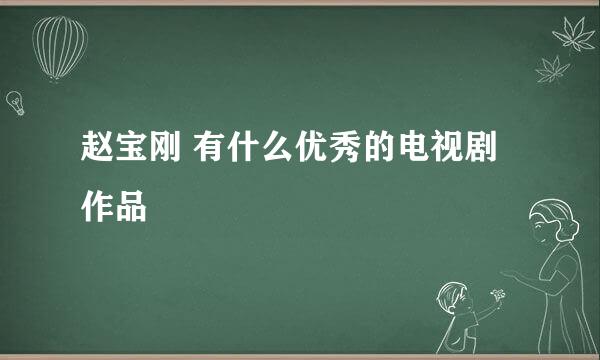 赵宝刚 有什么优秀的电视剧作品